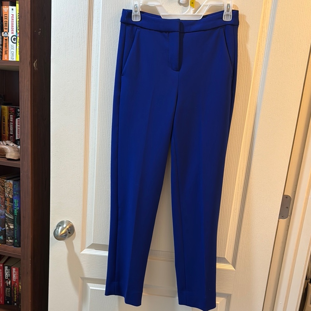 Elegant Blue Women's Pants